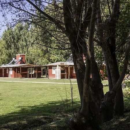Cabanas El Remanso Tupungato Eksteriør billede